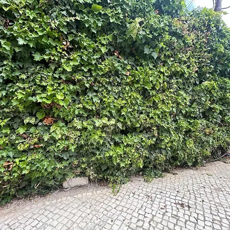 Estoril Haven Dom wakacyjny Віавіа