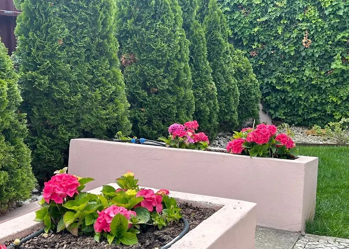 Casa de Férias Estoril Haven