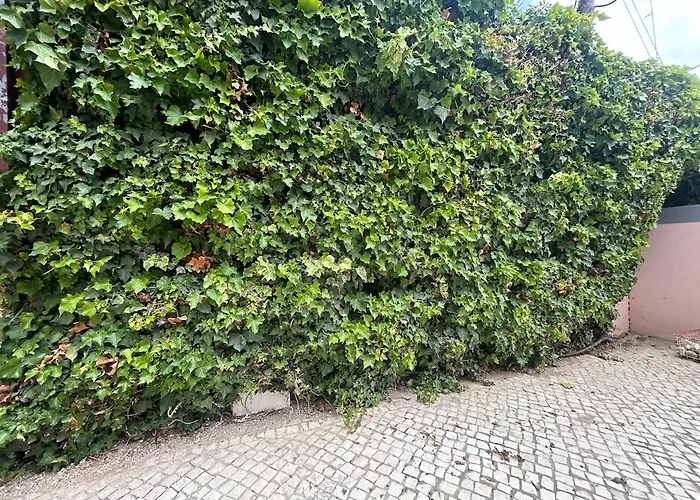 Estoril Haven 度假居 卡斯凯什